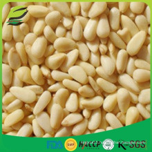 China pine nuts kernels for sale